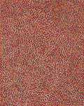 Warlukurlangu Jukurrpa (Fire country Dreaming)