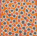 Mina Mina Jukurrpa (Mina Mina Dreaming)