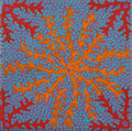 Ngurlu Jukurrpa (Native Seed Dreaming)