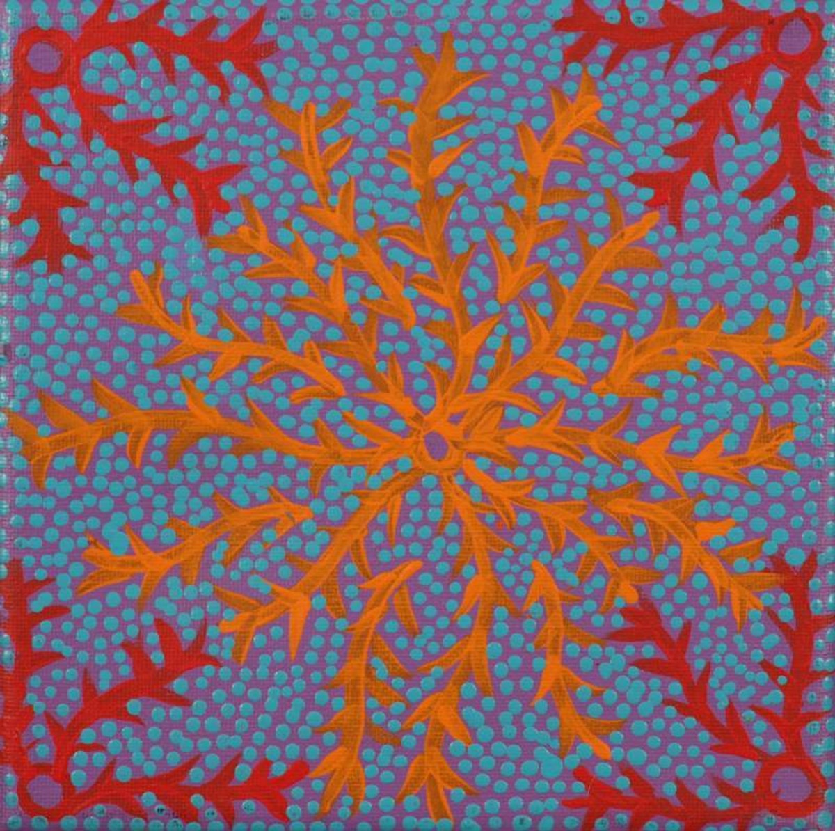 Ngurlu Jukurrpa (Native Seed Dreaming)