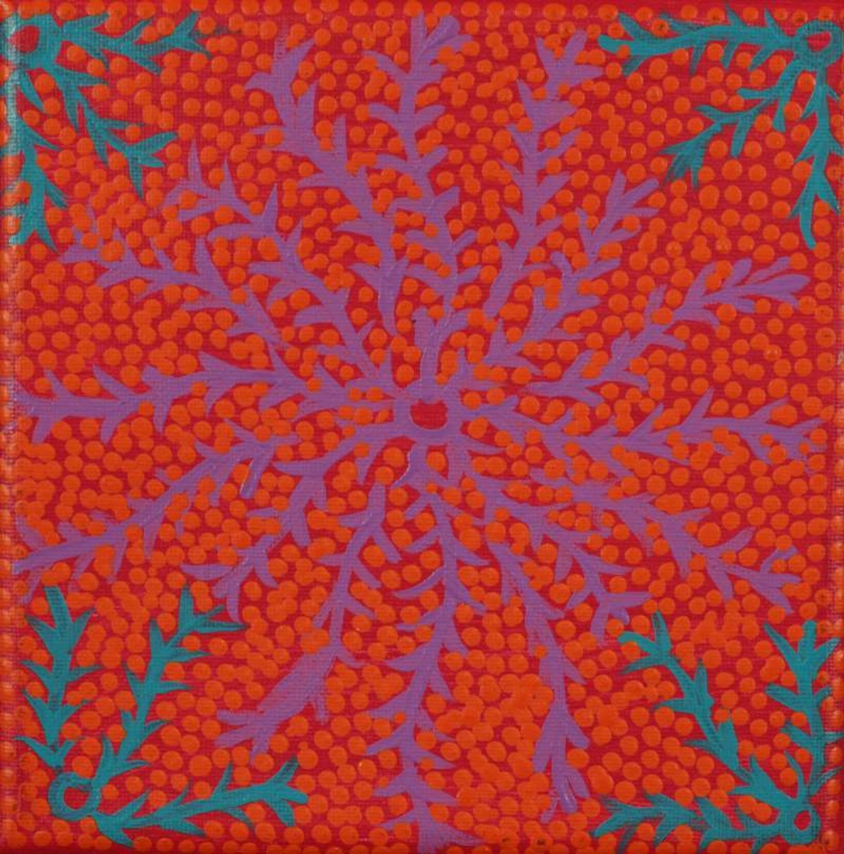 Ngurlu Jukurrpa (Native Seed Dreaming)