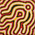 Ngapa Jukurrpa (Water Dreaming)  -  Pirlinyarnu