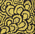 Ngurlu Jukurrpa (Native Seed Dreaming)