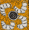 Ngarlkirdi Jukurrpa (Witchetty Grub Dreaming)