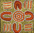 Mamupururnpa Jukurrpa (Barking Spider Dreaming)