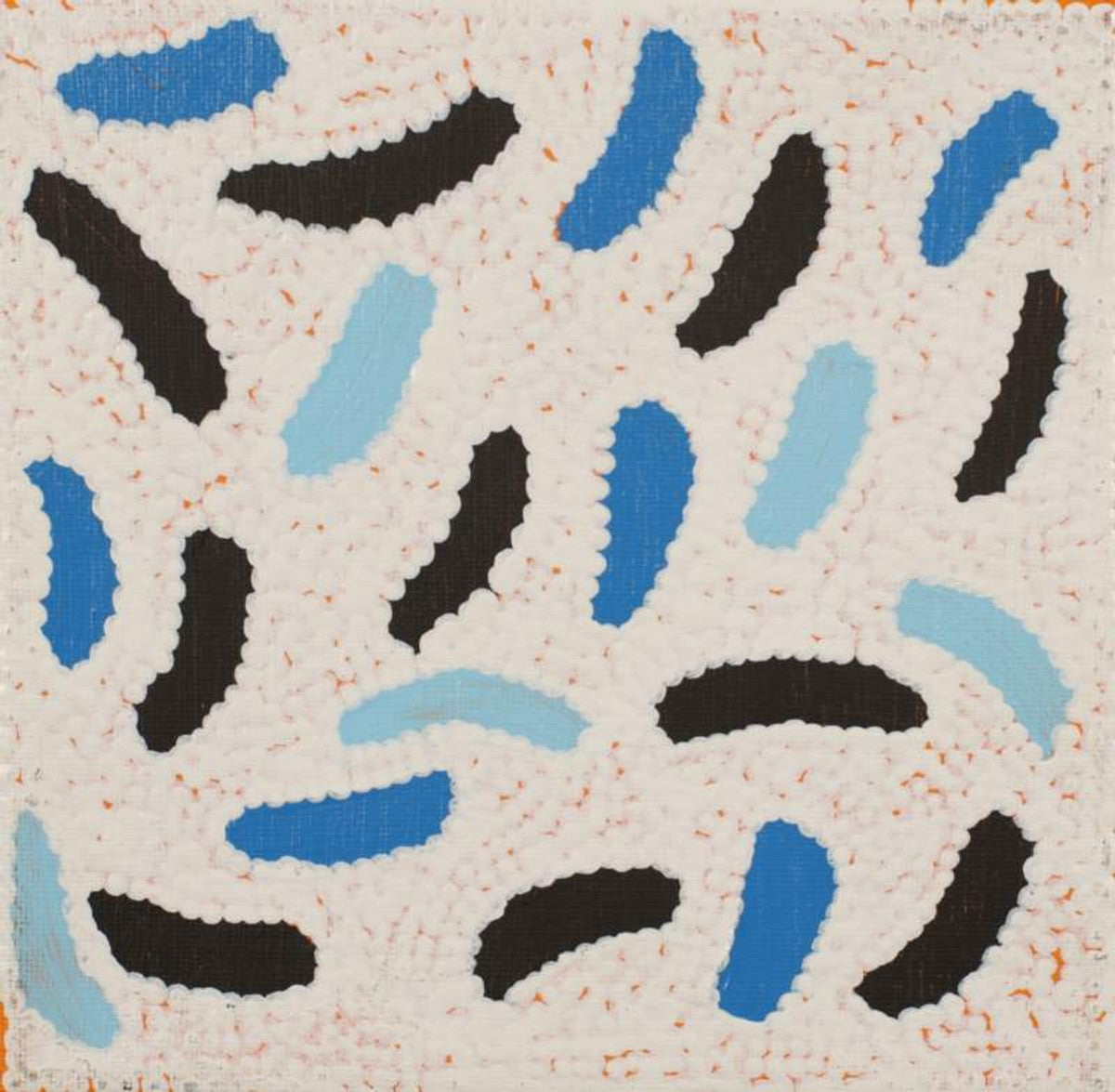 Yarla Jukurrpa (Bush Potato Dreaming) - Cockatoo Creek
