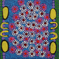 Wanakiji Jukurrpa (Bush Tomato Dreaming)