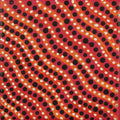 Warlukurlangu Jukurrpa (Fire country Dreaming)