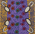 Wanakiji Jukurrpa (Bush Tomato Dreaming)