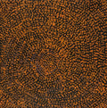 Ngapa Jukurrpa (Water Dreaming)  -  Puyurru