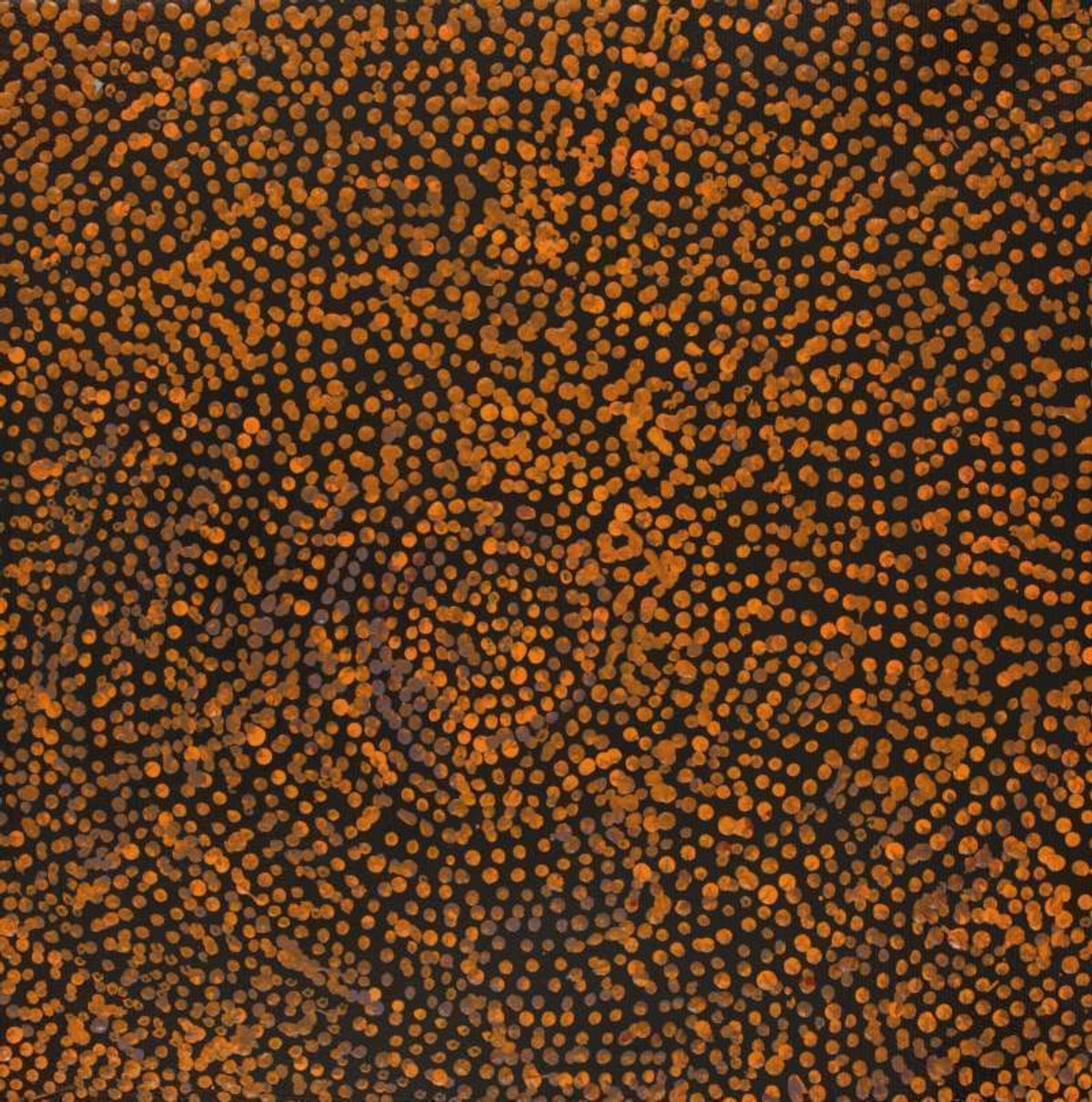 Ngapa Jukurrpa (Water Dreaming)  -  Puyurru