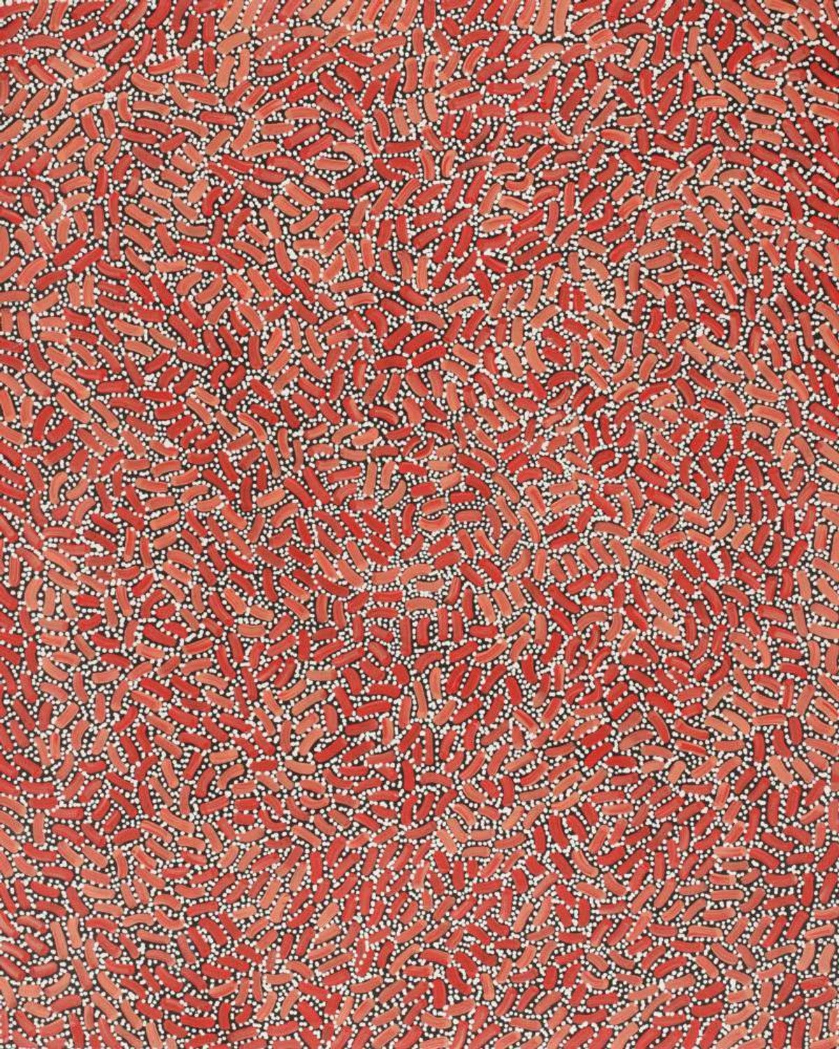 Warlukurlangu Jukurrpa (Fire country Dreaming)