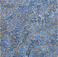 Warlukurlangu Jukurrpa (Fire country Dreaming)