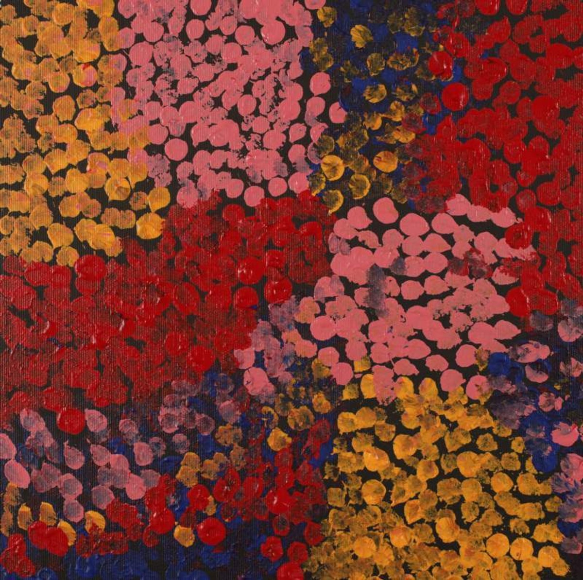 Wardapi Jukurrpa (Goanna Dreaming) - Yarripilangu