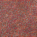 Warlukurlangu Jukurrpa (Fire country Dreaming)