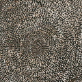 Ngapa Jukurrpa (Water Dreaming)  -  Puyurru
