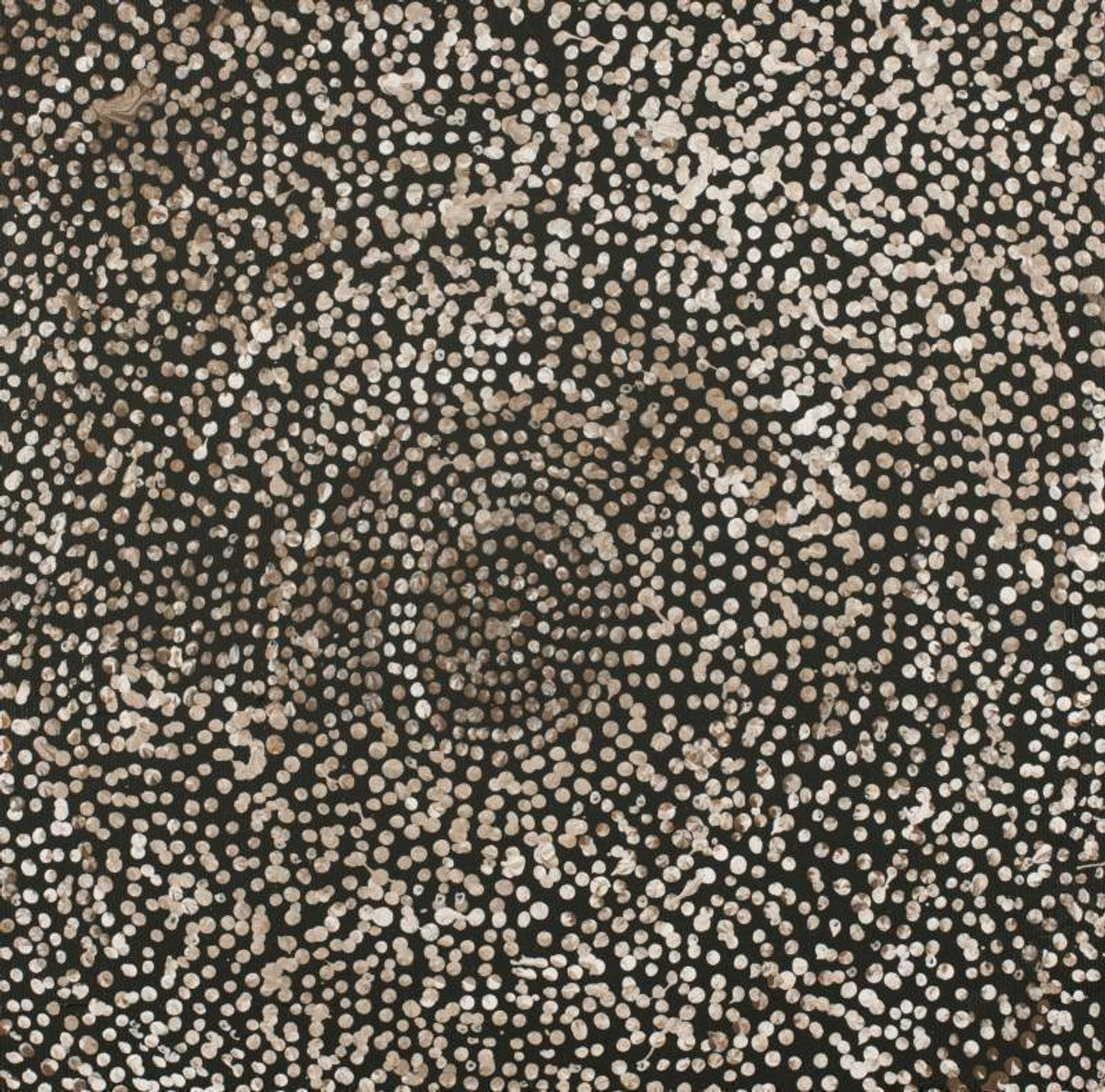 Ngapa Jukurrpa (Water Dreaming)  -  Puyurru