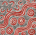 Ngapa Jukurrpa (Water Dreaming)  - Mikanji