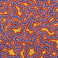 Ngapa Jukurrpa (Water Dreaming)  -  Puyurru