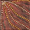 Wardapi Jukurrpa (Goanna Dreaming) - Yarripilangu
