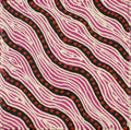 Warlukurlangu Jukurrpa (Fire country Dreaming)