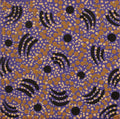 Warlukurlangu Jukurrpa (Fire country Dreaming)