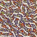 Warlukurlangu Jukurrpa (Fire country Dreaming)