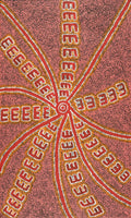 Janganpa Jukurrpa (Brush-tail Possum Dreaming)-  Mawurrji