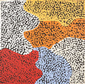 Yankirri Jukurrpa (Emu Dreaming) - Ngarlikirlangu