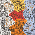 Yankirri Jukurrpa (Emu Dreaming) - Ngarlikirlangu