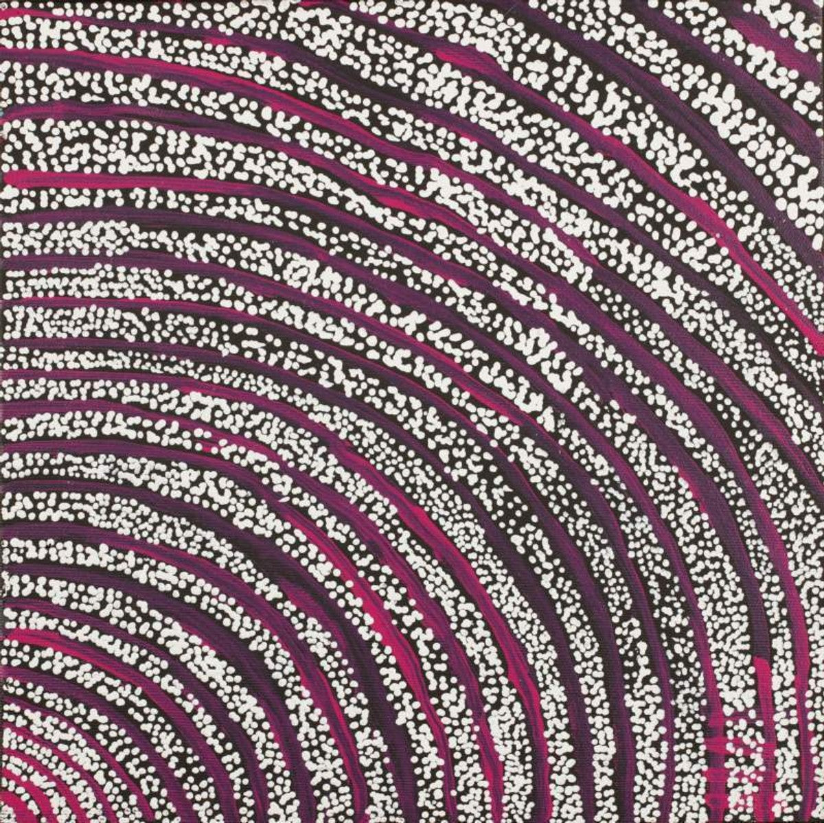 Wanakiji Jukurrpa (Bush Tomato Dreaming)