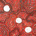 Ngapa Jukurrpa (Water Dreaming) - Wapurtali