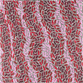 Warlukurlangu Jukurrpa (Fire country Dreaming)