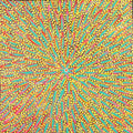 Karnta Jukurrpa (Women's Dreaming) - Bush Medicine