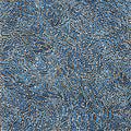 Warlukurlangu Jukurrpa (Fire country Dreaming)