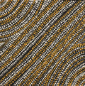 Mina Mina Jukurrpa (Mina Mina Dreaming)