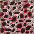 Nguru Yurntumu-wana (Country around Yuendumu)