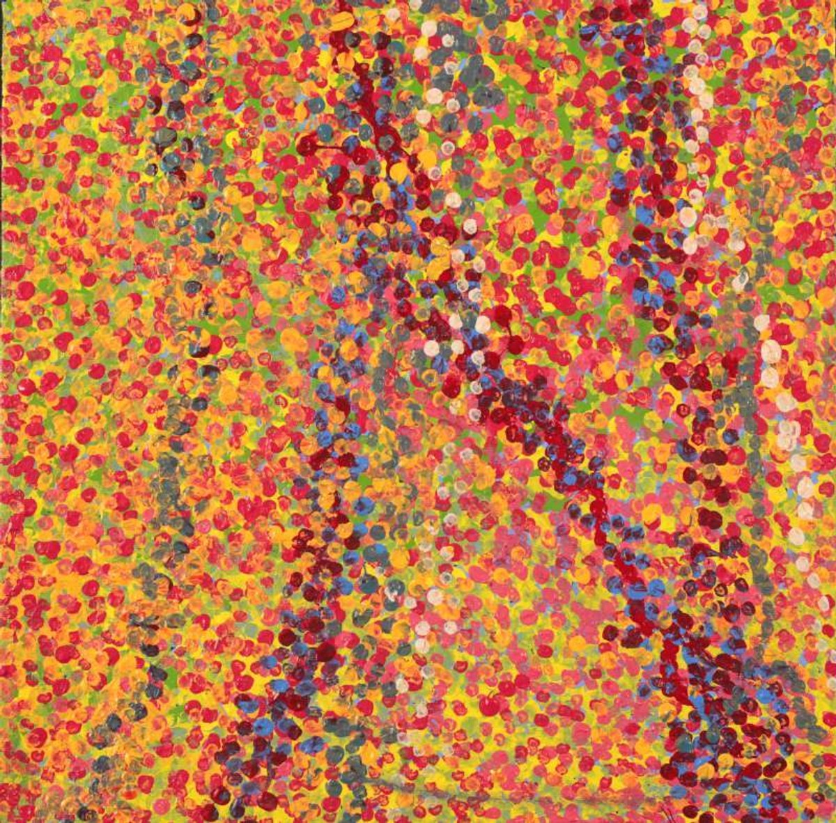 Wardapi Jukurrpa (Goanna Dreaming) - Yarripilangu