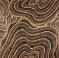 Wanakiji Jukurrpa (Bush Tomato Dreaming)