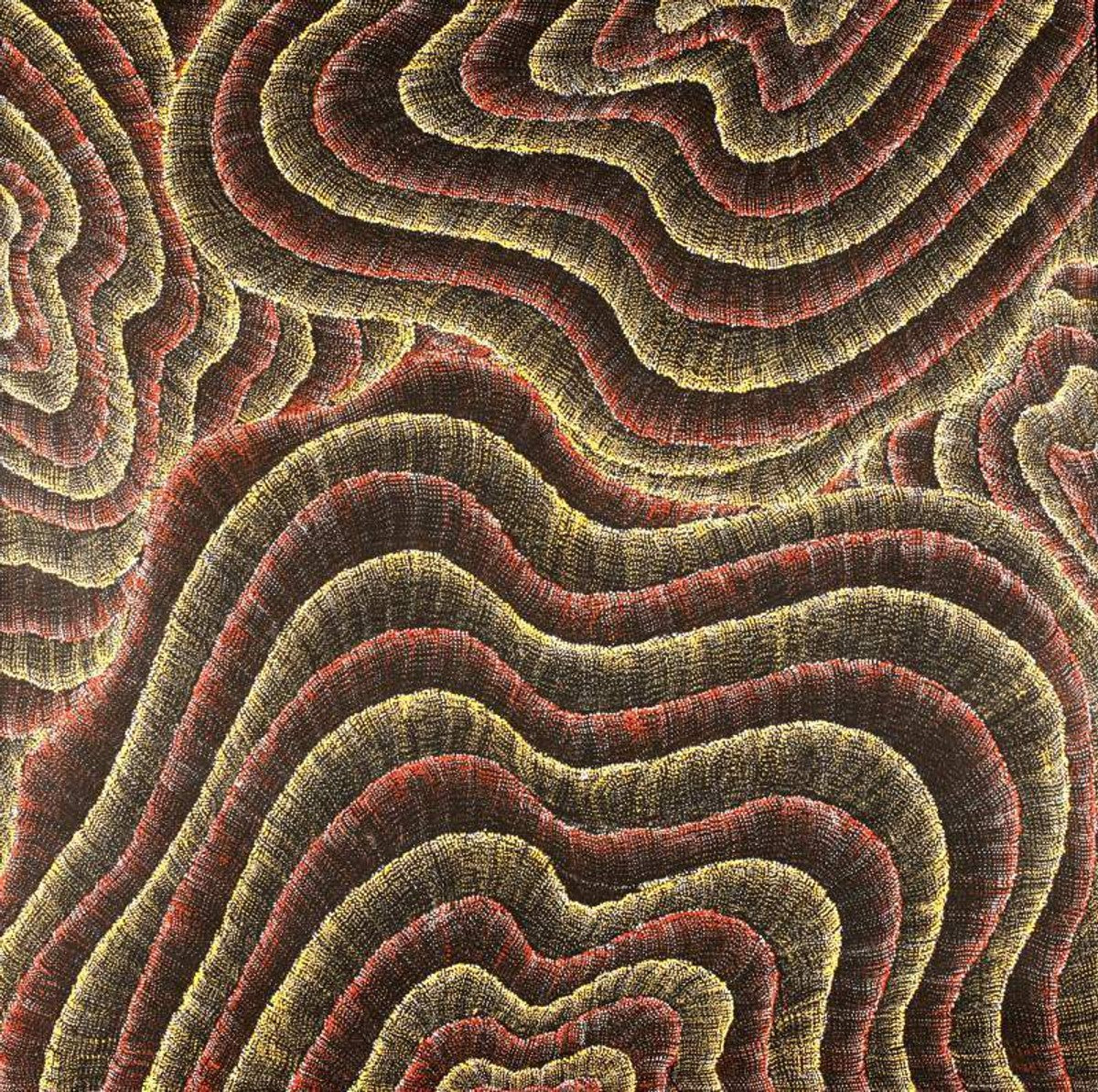 Wanakiji Jukurrpa (Bush Tomato Dreaming)