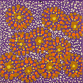 Mina Mina Jukurrpa (Mina Mina Dreaming)