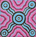 Nguru Yurntumu-wana (Country around Yuendumu)