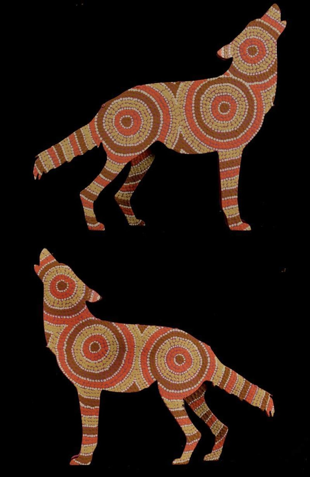 Rambo the dingo