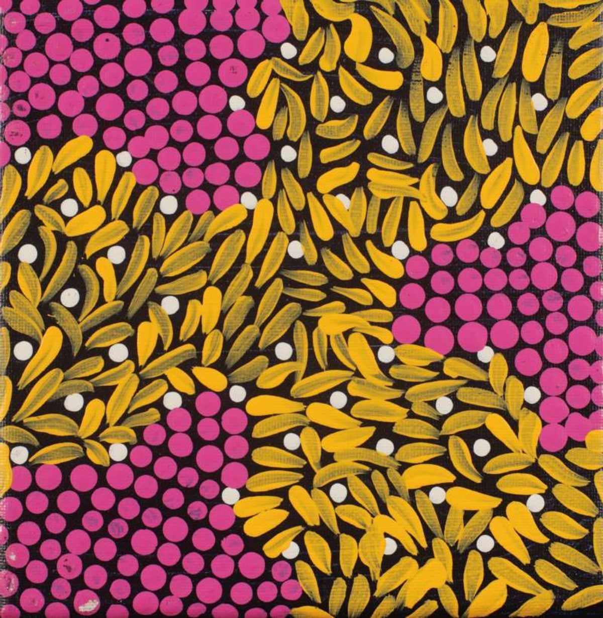Yuparli Jukurrpa (Bush Banana Dreaming)