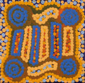 Ngapa Jukurrpa (Water Dreaming)  -  Puyurru