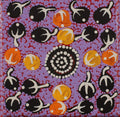 Wanakiji Jukurrpa (Bush Tomato Dreaming)