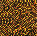Mina Mina Jukurrpa (Mina Mina Dreaming)