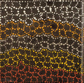 Wardapi Jukurrpa (Goanna Dreaming) - Yarripilangu