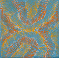 Wanakiji Jukurrpa (Bush Tomato Dreaming)
