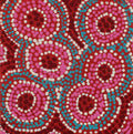 Wanakiji Jukurrpa (Bush Tomato Dreaming)